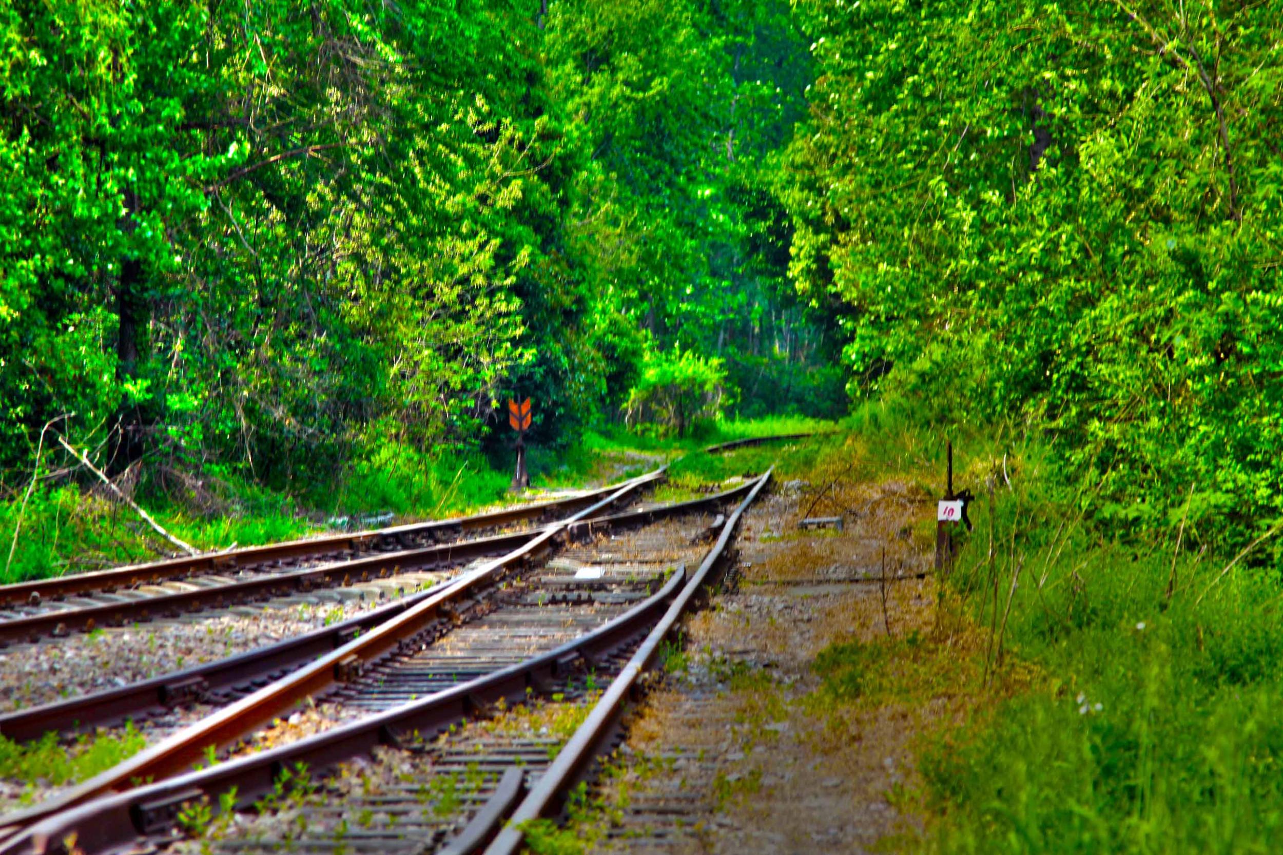 我省今年年內(nèi)有4條鐵路線投入運(yùn)營(yíng)更多出行選擇！