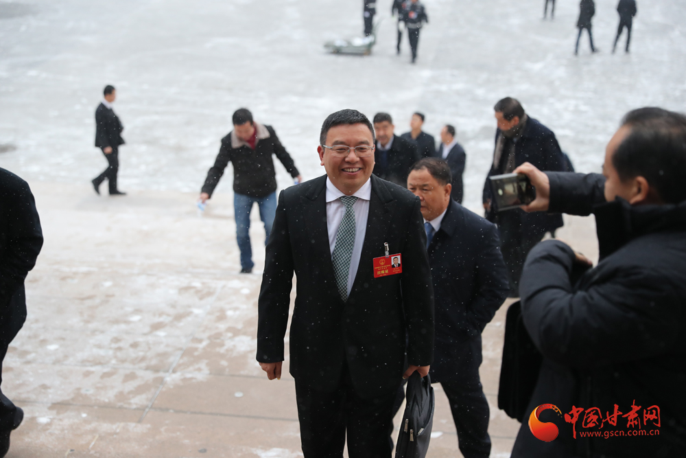 【聚焦2020甘肅兩會】“兩會”代表、委員風采掠影（組圖）