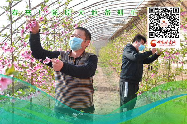 海報丨春來！隴原大地春耕忙