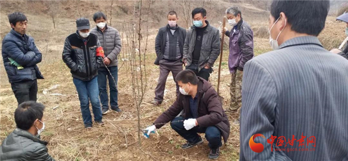 【甘肅全民戰(zhàn)“疫”】隴南徽縣：花椒田里培訓(xùn)忙，戰(zhàn)疫春耕兩不誤