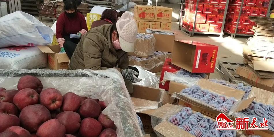 天水“花牛”最近有點“?！?>
        </a><em>天水“花牛”最近有點“?！?/em></li>
    <li><a  target=