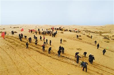 落筆擔使命 躬身學(xué)楷模 甘肅百名記者播綠八步沙