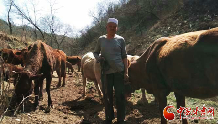 甘肅靈臺：全力加快民族村社經濟發(fā)展步伐（圖）