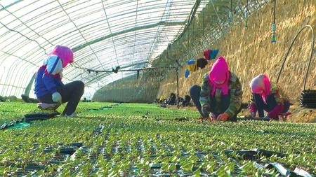 【抓實抓細(xì)疫情防控 精準(zhǔn)推進(jìn)復(fù)工復(fù)產(chǎn)】解難題 穩(wěn)就業(yè) 保生產(chǎn) 促發(fā)展 ——永昌縣多舉措助推企業(yè)復(fù)工復(fù)產(chǎn)