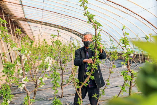 銅城復(fù)蘇：春光明媚，邀你共賞芳華（組圖）