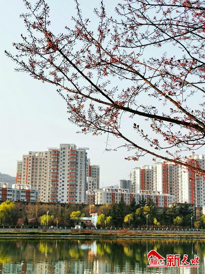 春天，古城天水的十個(gè)美麗瞬間