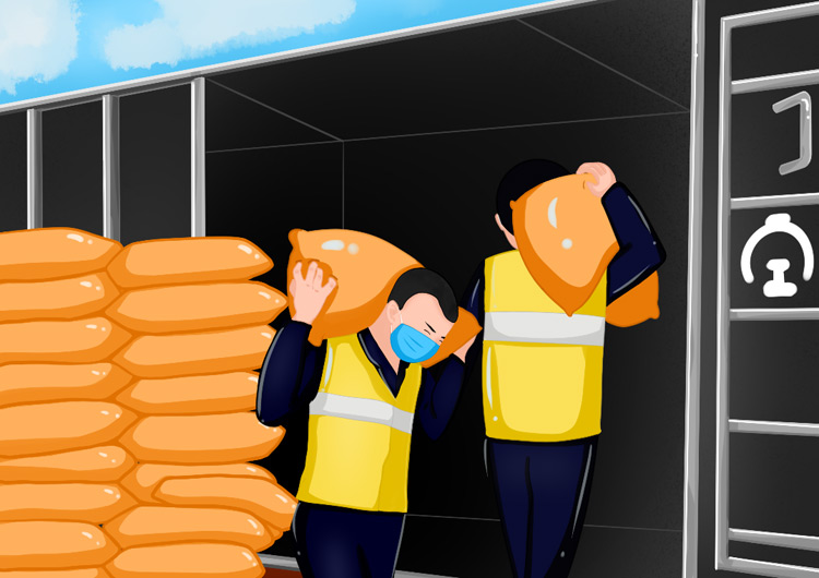 【光明漫評】保障春耕物資，播種希望筑牢信心