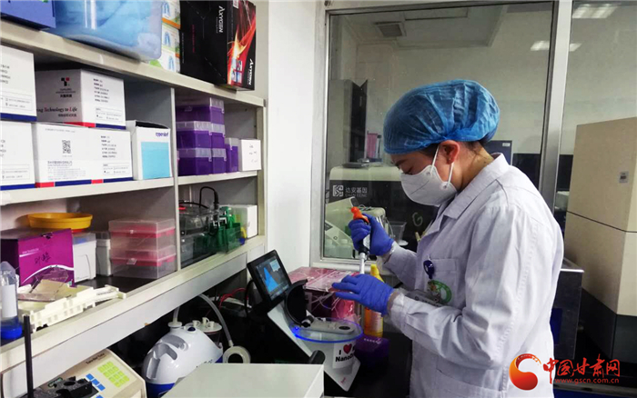 詮釋初心使命 解決重大醫(yī)療問(wèn)題——甘肅省人民醫(yī)院臨床研究與轉(zhuǎn)化醫(yī)學(xué)研究所抗疫紀(jì)實(shí)（圖/視頻）