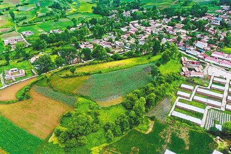 【溫暖的回響 滄桑巨變 飲水思源】這條路，通往幸福