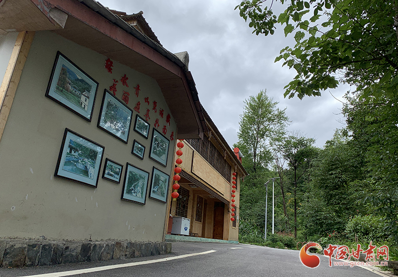 【走向我們的小康生活】村美、業(yè)興、民富……康縣何家莊描繪鄉(xiāng)村振興新畫卷（圖）