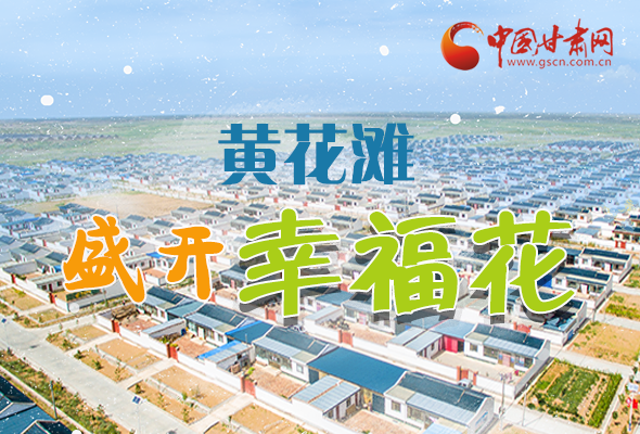 【跟著總書記看甘肅】長圖|武威黃花灘盛開幸?；?