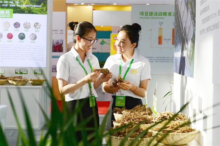 定西，從“千年藥鄉(xiāng)”邁向“中國藥都”