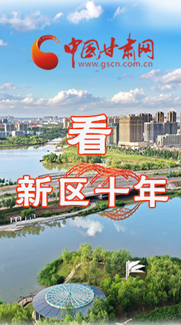 圖解|崛起！新區(qū)十年