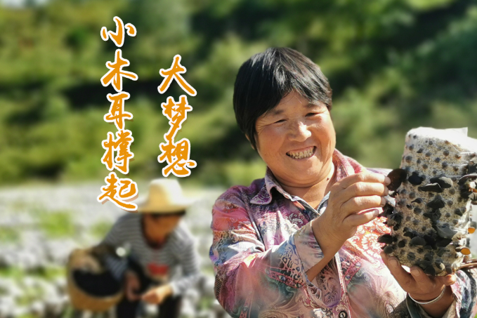 海報丨他們，乘“豐”破浪！