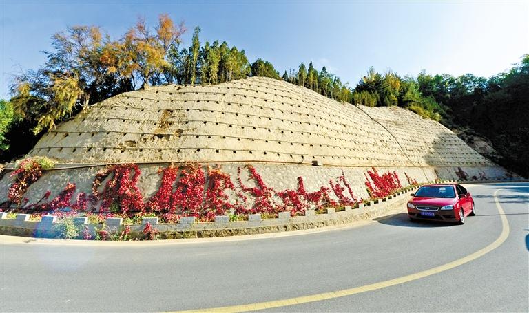 近90度陡坡上種樹！蘭州南北兩山綠化出新招