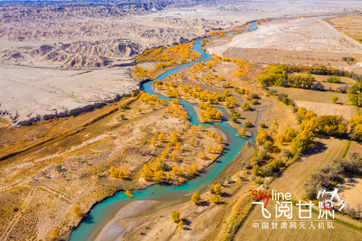 【飛閱甘肅】好美！疏勒河畔大地斑斕