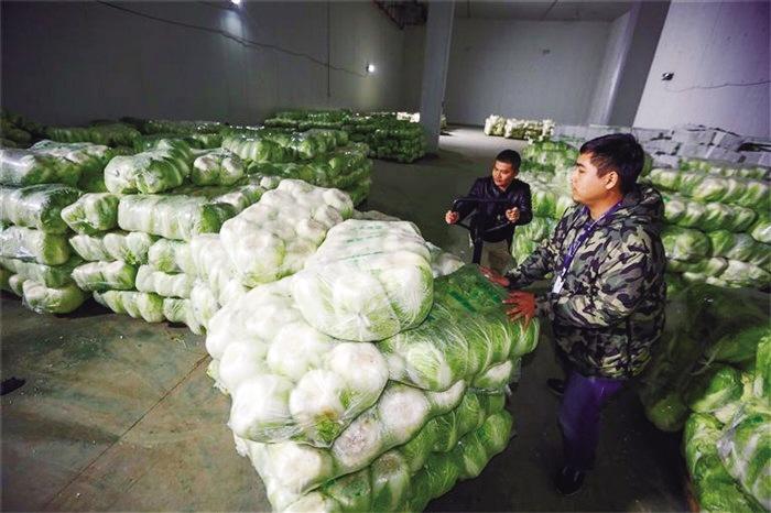 蘭州市已儲(chǔ)備1萬(wàn)噸冬春蔬菜以耐貯存、易周轉(zhuǎn)品種為主