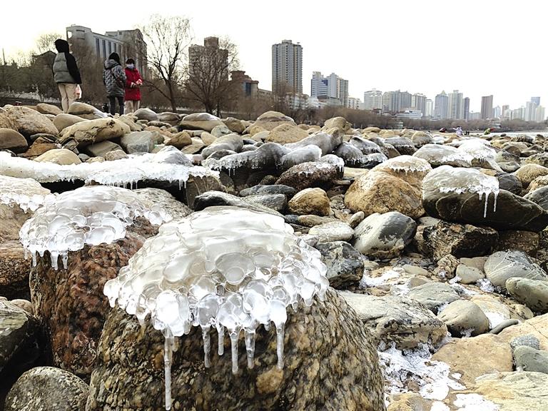 蘭州：水母上河灘？