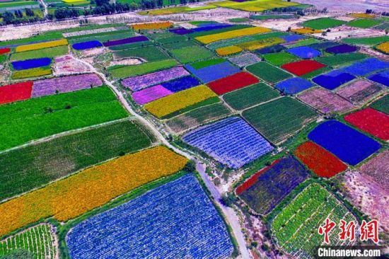 甘肅酒泉：除了天時地利，還有一“種”力