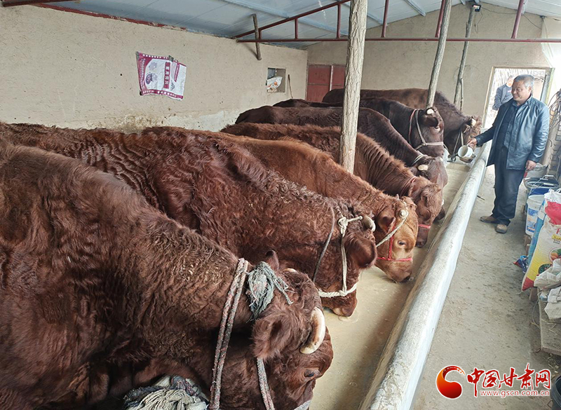 平?jīng)鰶艽ǎ骸芭！碑a(chǎn)業(yè)鋪就致富路