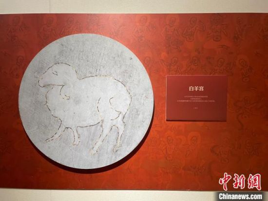 圖為展覽現(xiàn)場。　江楊燁 攝