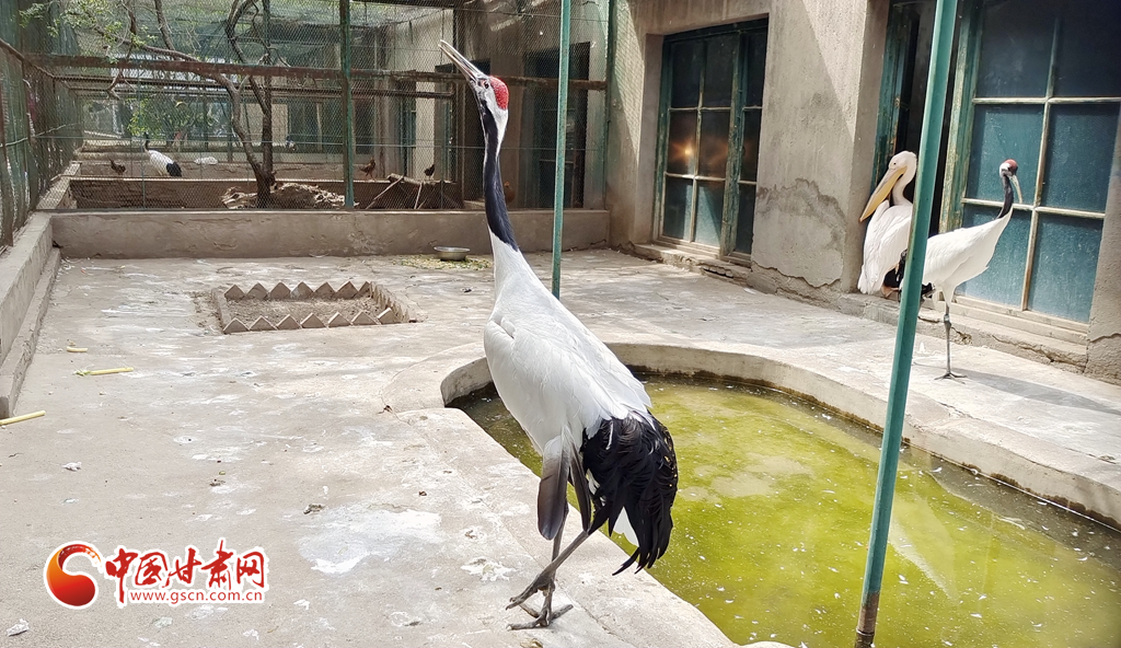 蘭州公安提醒市民：非緊急非必要，不出境