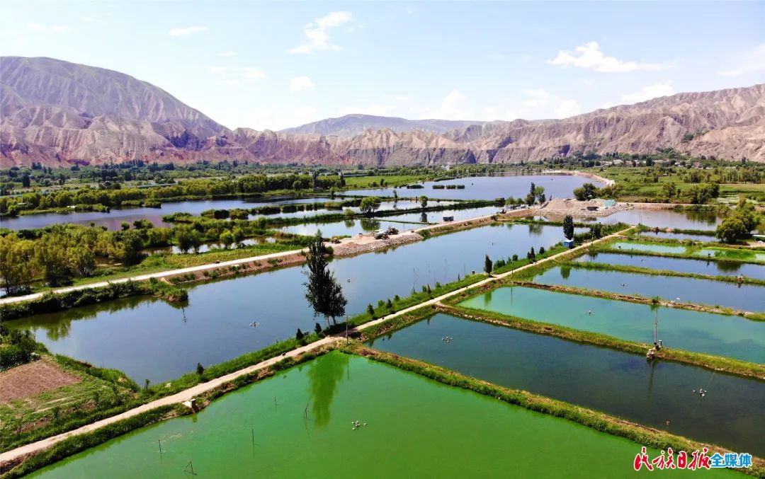 一秒入畫！太極島濕地風光秀麗