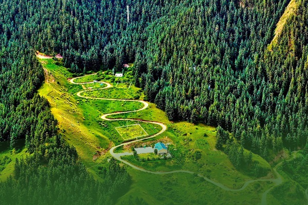 海報|祁連山保護區(qū)生態(tài)環(huán)境問題整改全面完成！