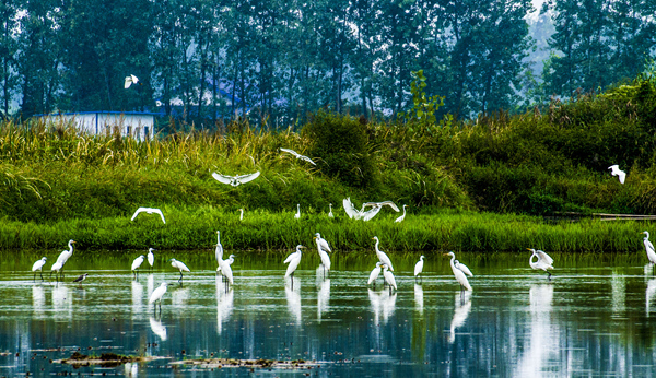 1635205468934413.jpg 11.jpg