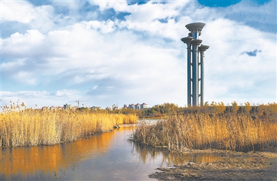 1637278920882085.jpg 1.jpg