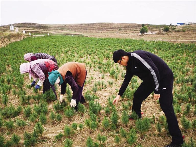 做村民的知心人 把村民當(dāng)成親人——記榆中縣哈峴鄉(xiāng)柳樹村駐村幫扶工作隊隊員王志榕