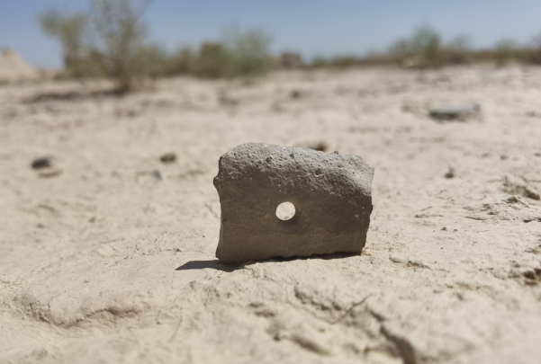 插圖1：河西走廊上遺存的古陶片。攝影：陳曉斌。拍攝日期：2020年6月。