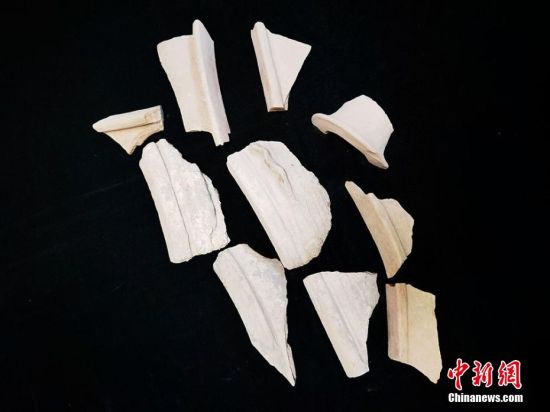 圖為靜寧縣賈河鄉(xiāng)竇坪村出土的彩陶片、紅陶片。 夏劍鋒 攝