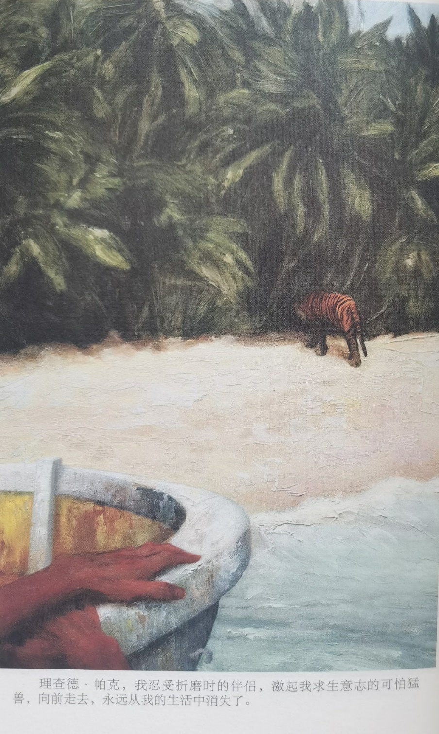 插圖3：揚(yáng)？馬特爾的小說《少年pi的奇幻漂流》插圖