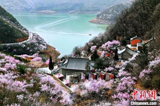 甘肅平?jīng)鍪惺侵袊?guó)優(yōu)秀旅游城市。圖為平?jīng)鲠轻忌较率锾一ㄊ㈤_(kāi)。(資料圖) 平?jīng)鍪形麄鞑抗﹫D