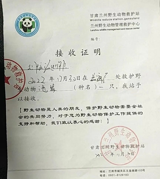 受到救助的池鷺被蘭州野生動(dòng)物保護(hù)站接收。（蘭州市公安局七里河分局供圖）