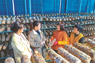 1676850016426818.jpg 1.jpg