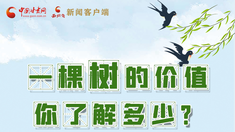 圖解|一棵樹的價(jià)值你了解多少?來看！