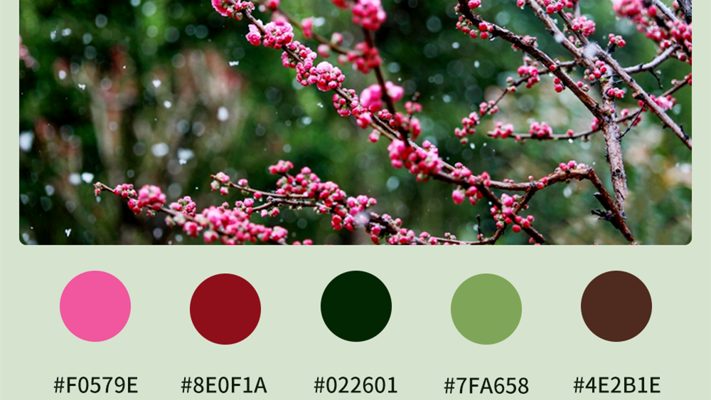 微海報|收藏！色卡里的春日甘肅