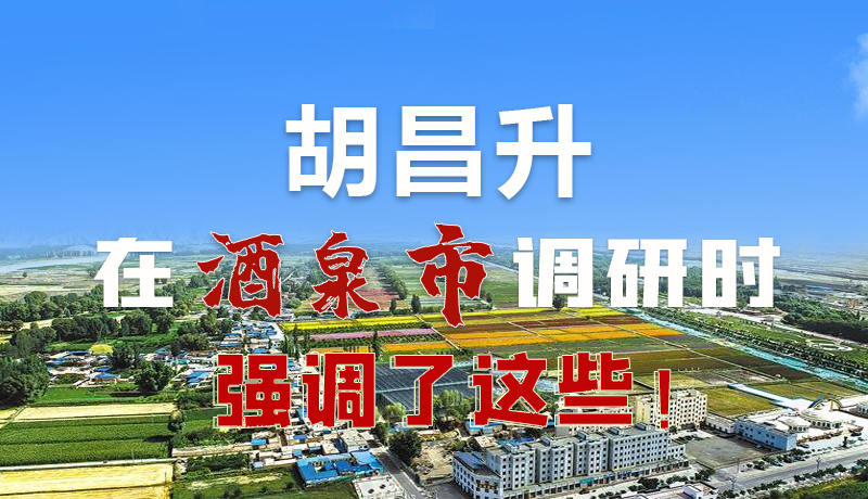 圖解|胡昌升在酒泉市調研時強調了這些！