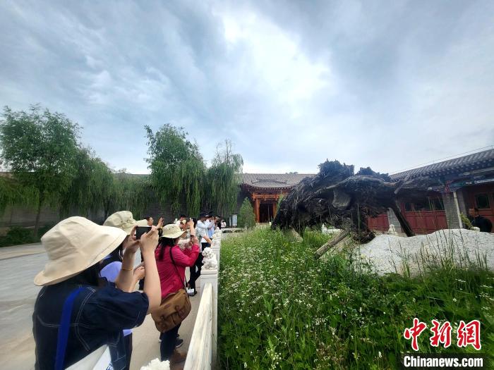 圖為媒體記者在青海永錄民俗參觀采訪?！⊙Φ?攝