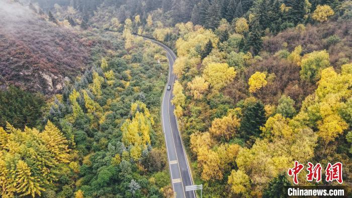 深秋，航拍位于蘭州市榆中縣的興隆山，景色如畫。金峯 攝</p>
<p>