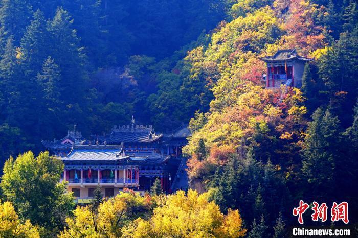 深秋，位于蘭州市榆中縣的興隆山景色如畫。宮衛(wèi)紅 攝