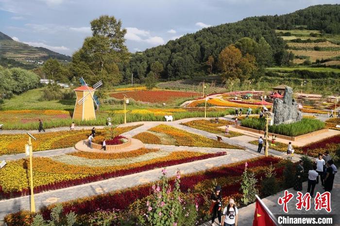 圖為航拍甘肅甘南臨潭縣八角鎮(zhèn)，花海吸引游人。(資料圖)高展 攝