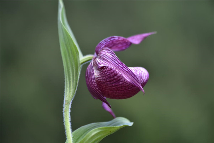 1704710341275487.jpg 1 -9.jpg