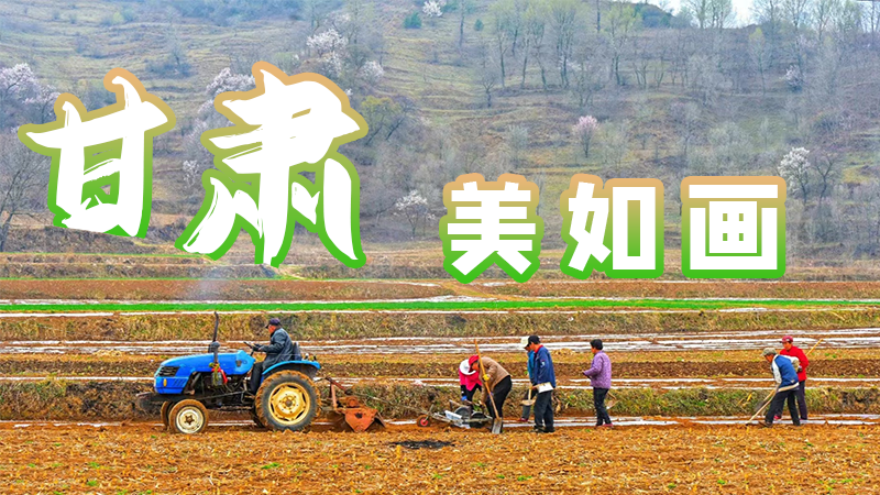 微海報(bào)|甘肅，美如畫