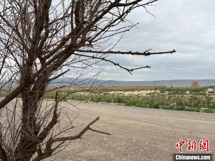 圖為位于長城墻體上的“馬面”或“敵臺”。　戴文昌 攝