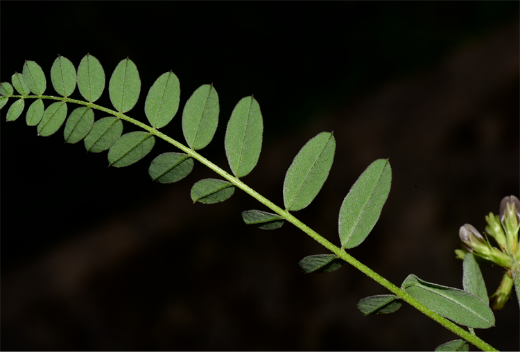 1730187623164966.png 6-2.png