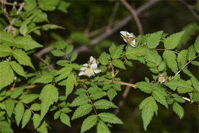 1737514921627116.jpg 24-01.jpg