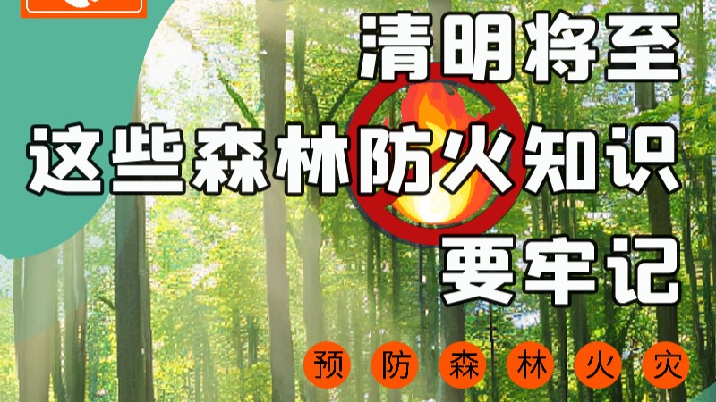 【甘快看】圖解|緊繃“安全弦”！清明，這些森林防火知識要牢記
